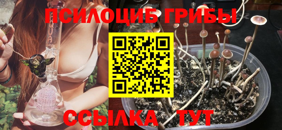 Нарткала  Галлюциногенные грибы GOLDEN TEACHER  Псилоцибиновые грибы Cubensis  Вход с VPN 