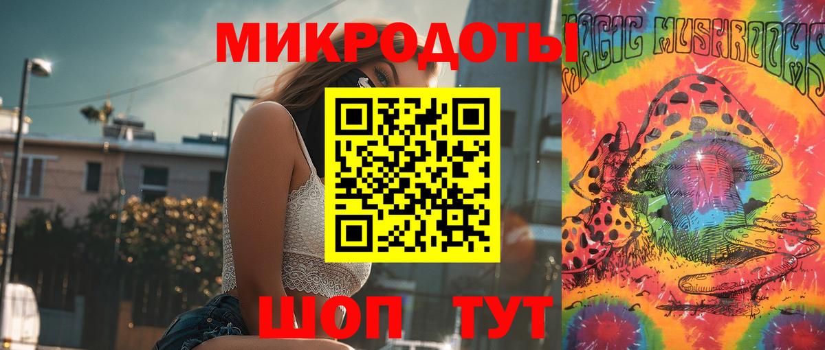 Галлюциногенные грибы Psilocybe Нарткала